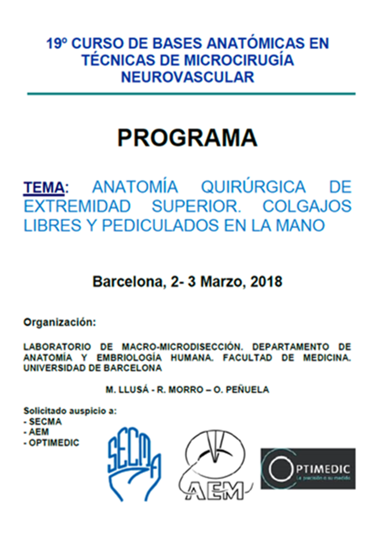 19º Curso de bases anatómicas en técnicas de microcirugía neurovascular