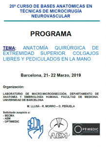 portada Lesiones osteocondrales en la extremidad superior