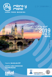 portada micro y mano Lesiones osteocondrales en la extremidad superior