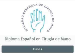 ACCESO PLAN FORMATIVO DECIM
