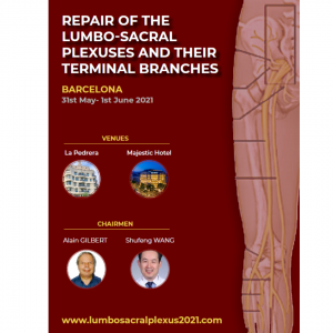 REPAIR OF THE LUMBO-SACRAL PLEXUSES AND THEIR TERMINAL BRANCHES @ Barcelona