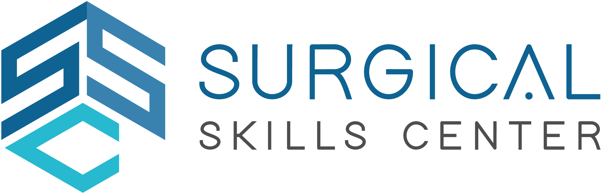 Surgical Curso Básico de Artroscopia