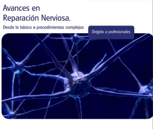 reparacion nerviosa-min